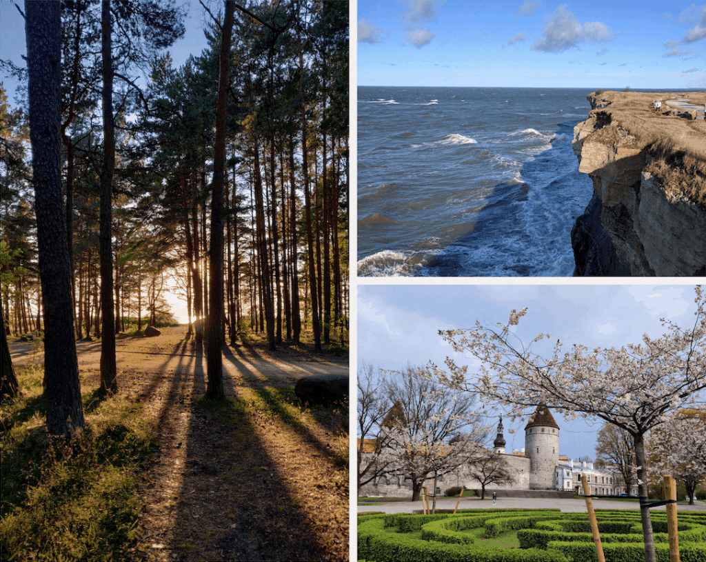 Nature in Estonia