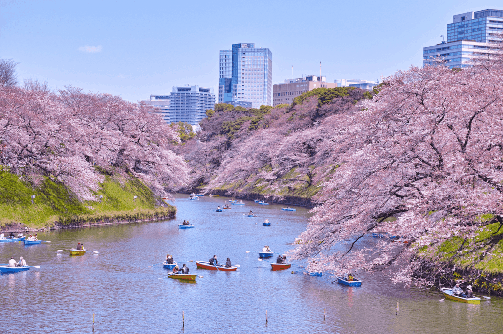 Chidorigafuchi Park of Tokyo