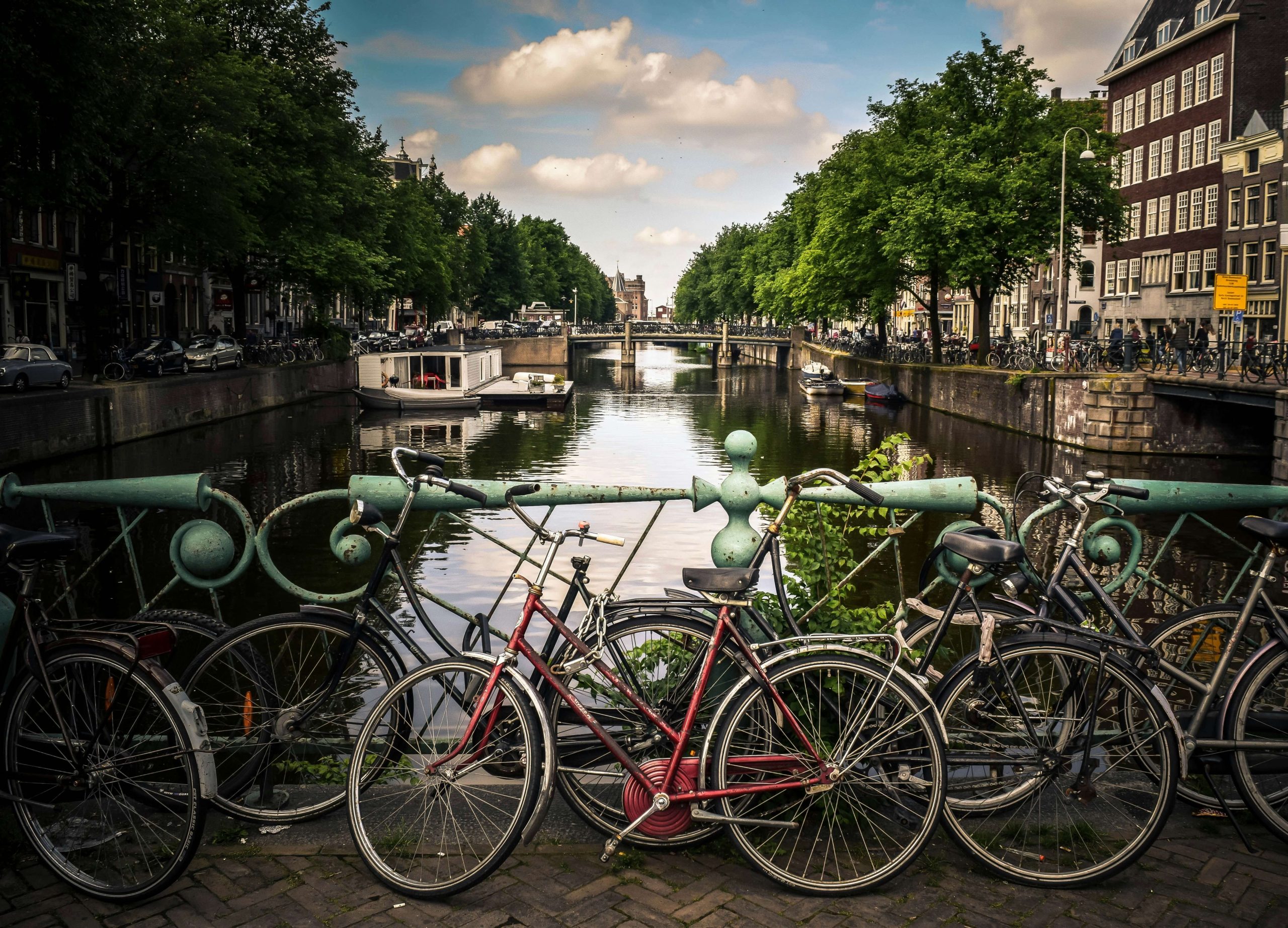 Moving to the Netherlands for an IT Job: Oscar’s Relocation Story